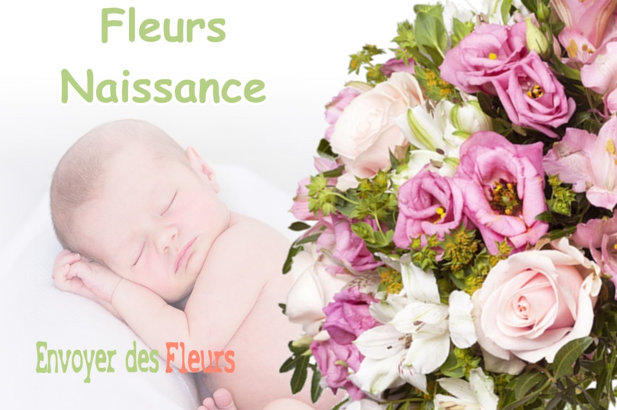 lIVRAISON FLEURS NAISSANCE à RENUNG